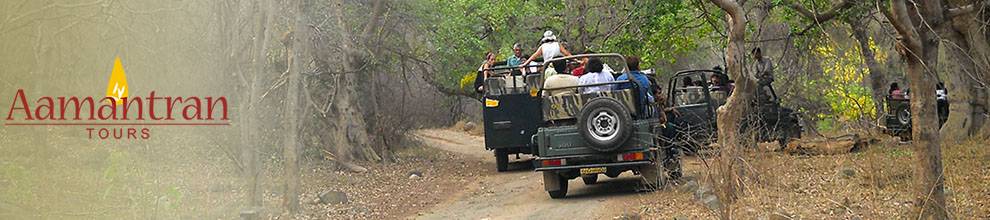 6 Days Agra Ranthambore Jaipur Tour - Rajasthan Wildlife Tour Itinerary