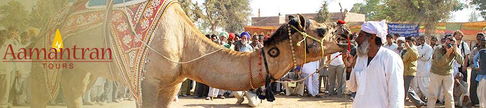 Rajasthan Round Trips from Delhi, Rajasthan Tour Packages from Delhi to Delhi