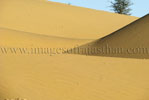 Sam Sand Dunes Thar Desert Jaisalmer