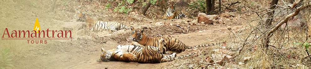 5 Days Ranthambore Udaipur Tour, Ranthambore Chittorgarh Udaipur Trip