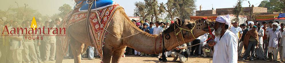 12 Days Rajasthan Tour From Delhi