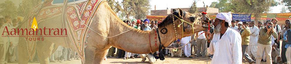 Rajasthan Round Trips from Delhi, Rajasthan Tour Packages from Delhi to Delhi