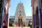 Rangji Ka Mandir Temple Pushkar