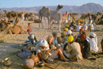 Pushkar Fair