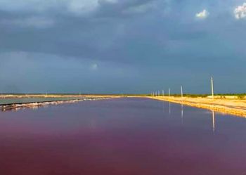 Sambhar Lake