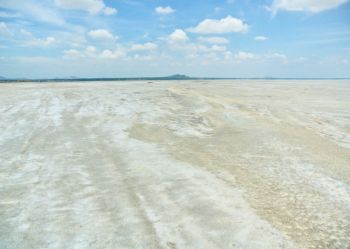 Sambhar Salt Lake