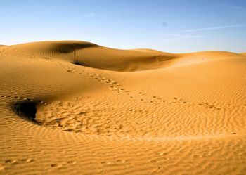 Sand Dunes of Sam Jaisalmer