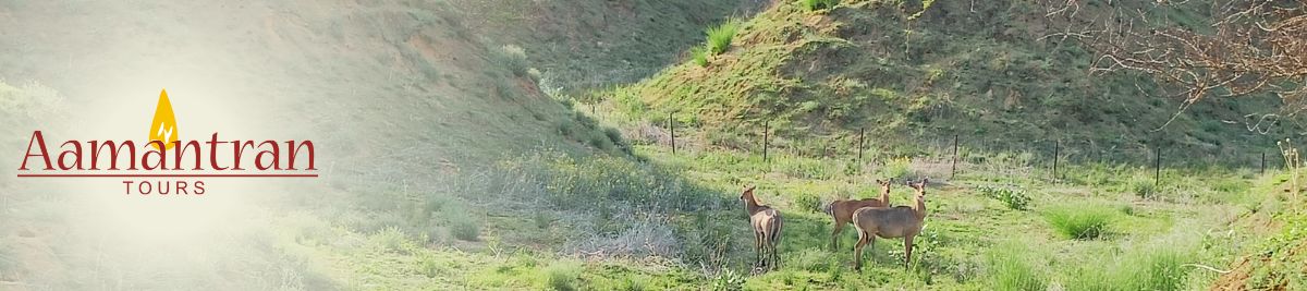 Jodhpur Day Trips